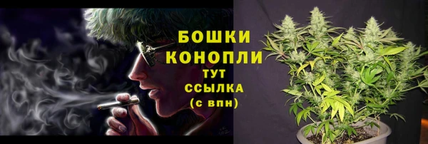 spice Лихославль