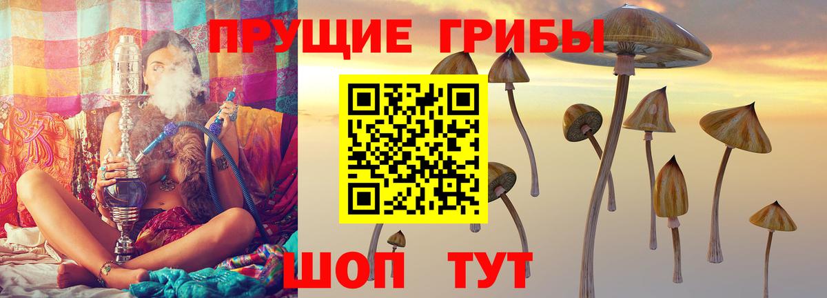 Галлюциногенные грибы Cubensis  Псилоцибиновые грибы GOLDEN TEACHER  Усинск 